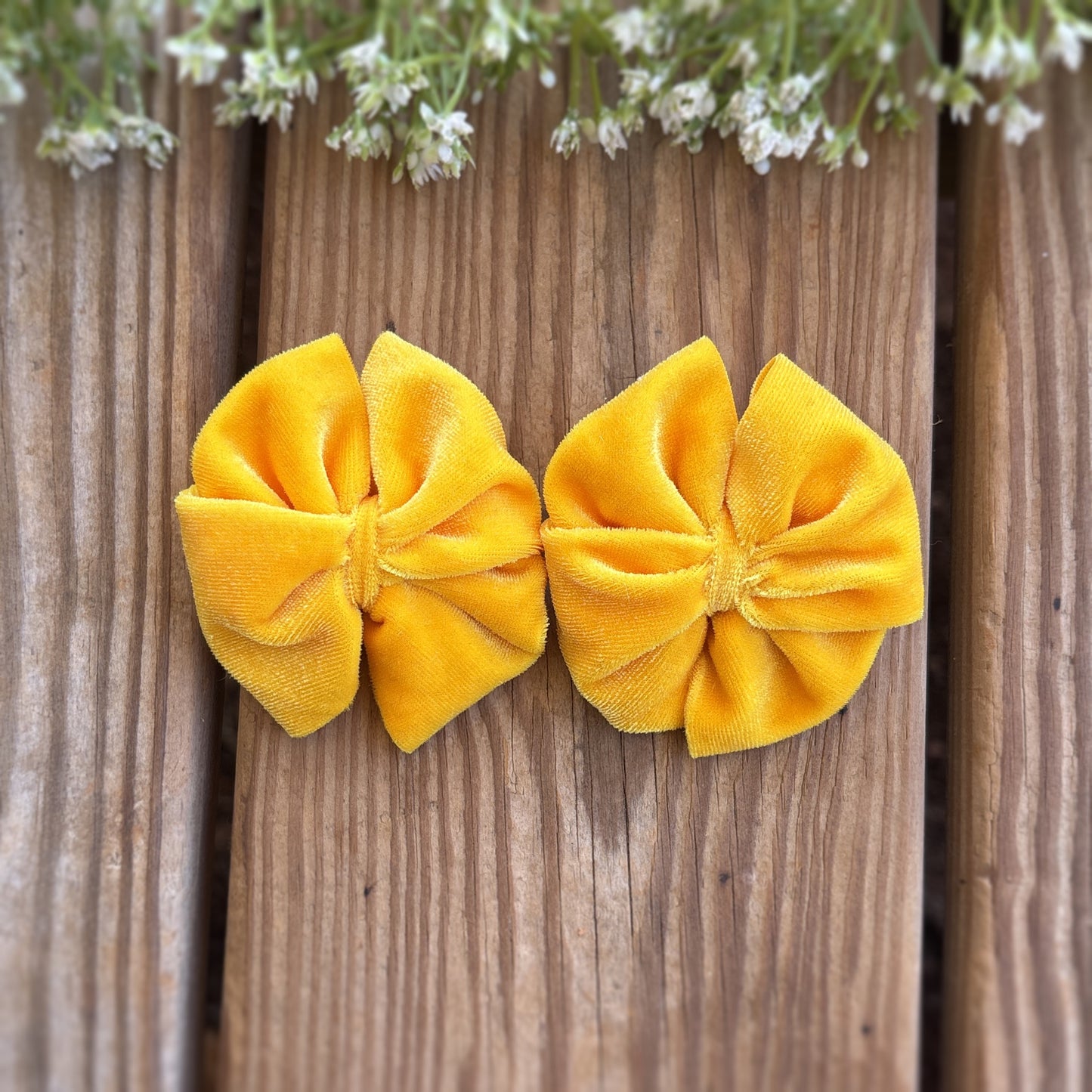 Yellow Velvet - Messy Piggies