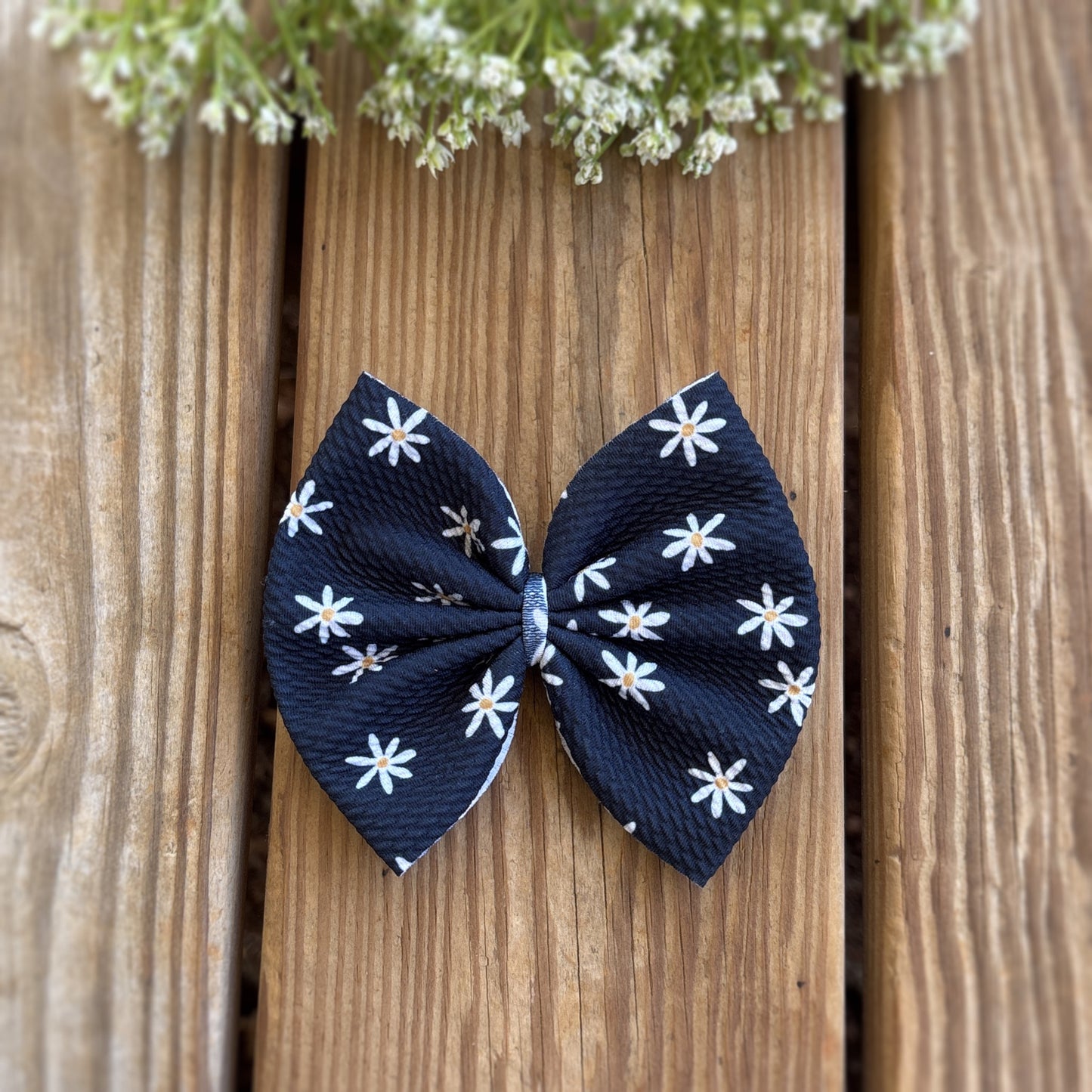 Black Daisies - Big Bow