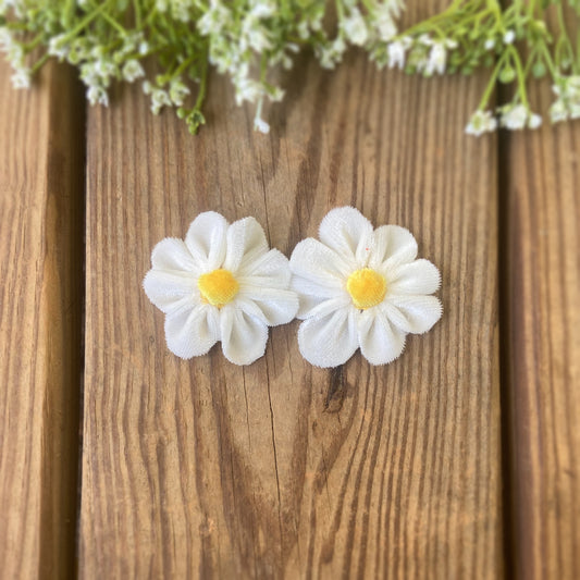 Micro Daisies